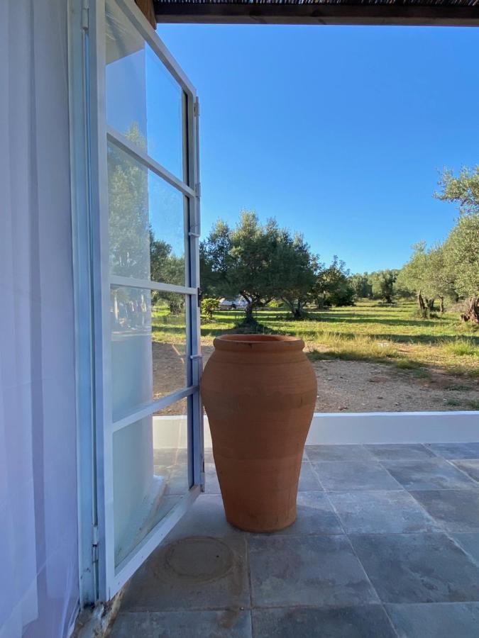 Apartmán Alba Studio Campredo Exteriér fotografie