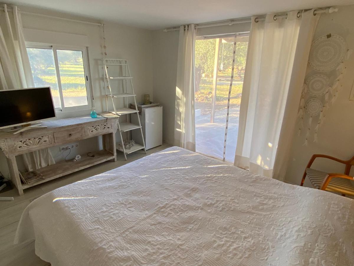 Apartmán Alba Studio Campredo Exteriér fotografie